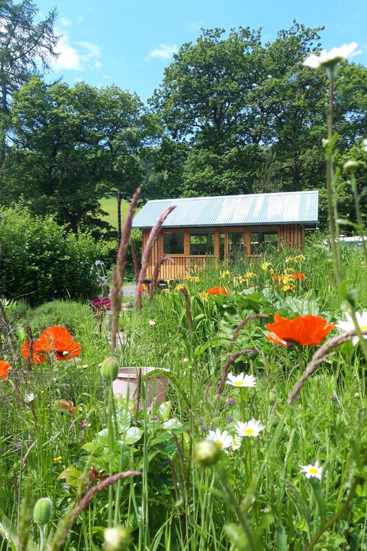 Wildflowers in front of sustainably built garden office or studio space 