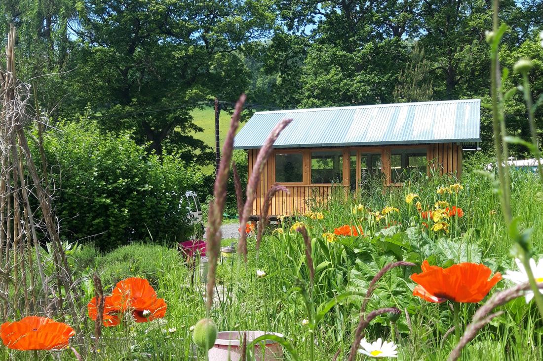 Wildflowers and bespoke sustainable cabin studio office in garden